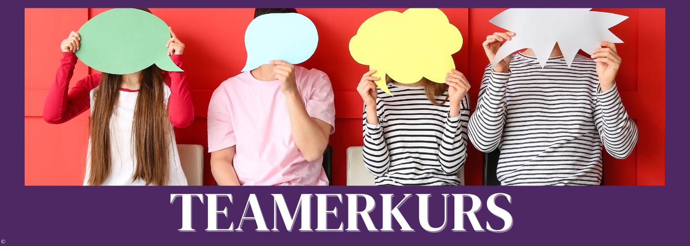 Teamerkurs